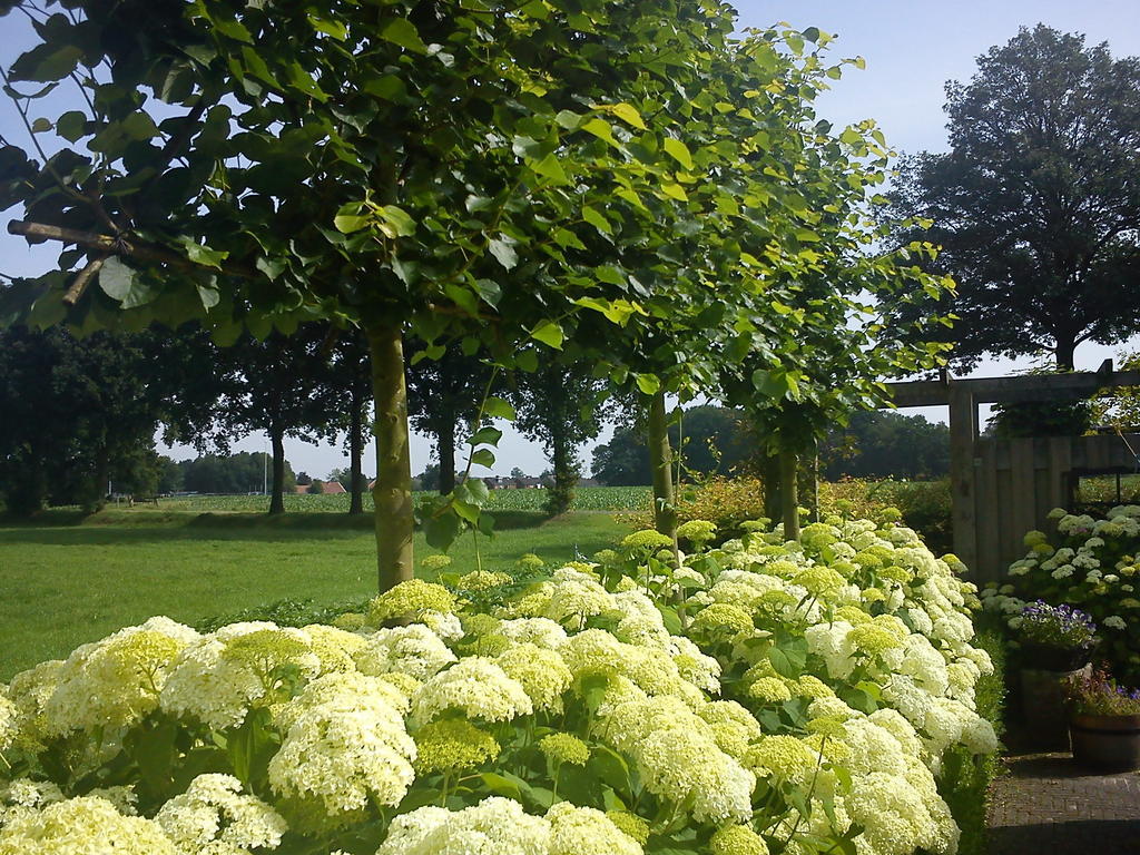 De Hörst Rossum  Buitenkant foto